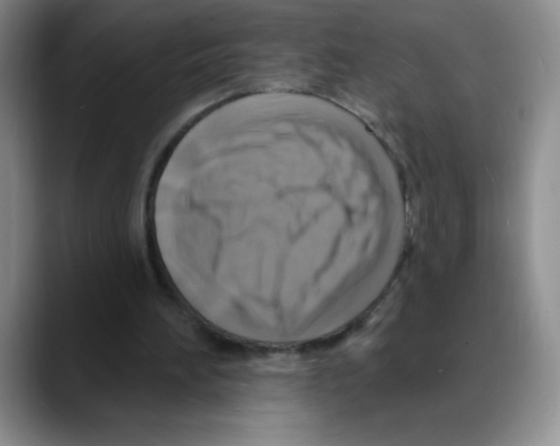 X0000088080196200706081736