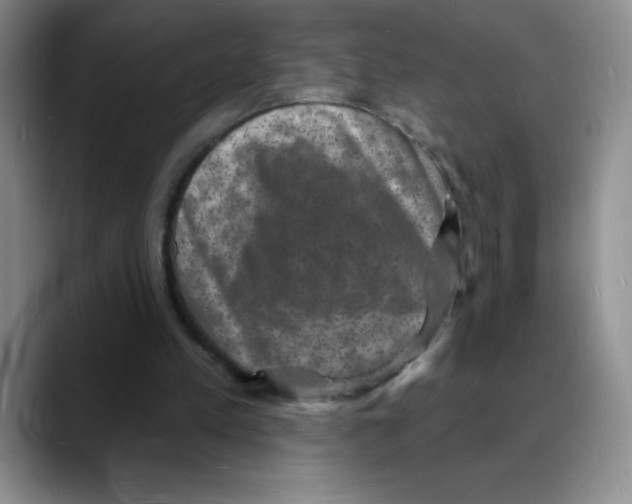 X0000088080197200706081736