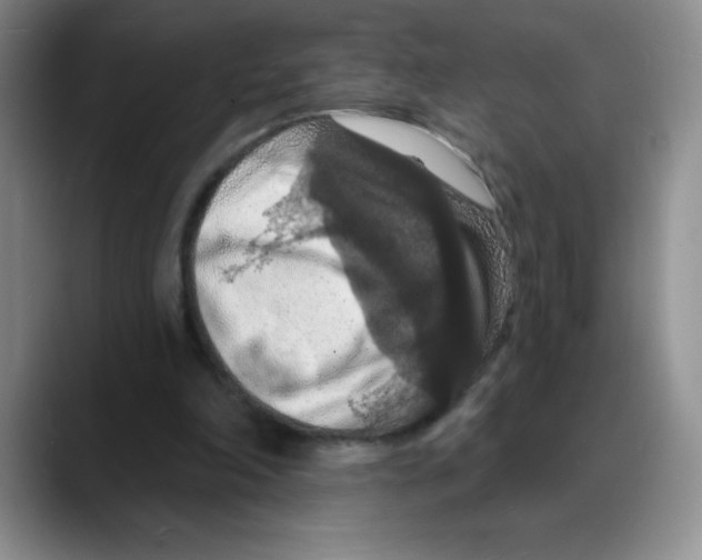 X0000088080198200706081736