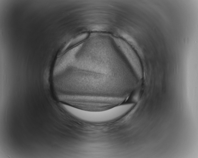 X0000088080201200706081736