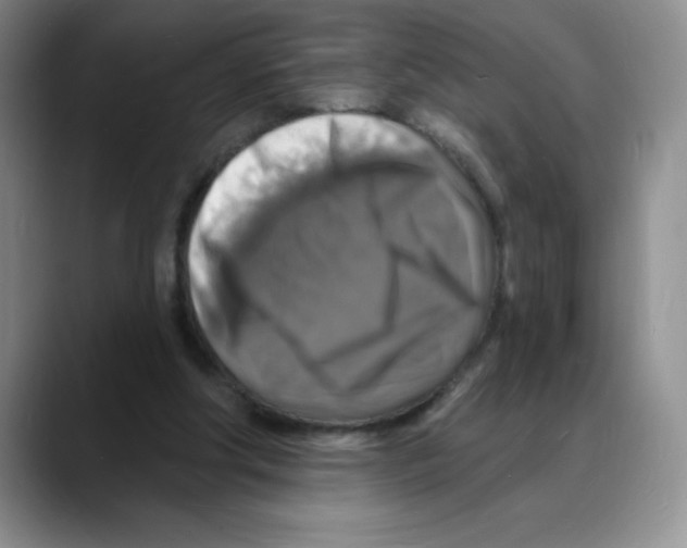 X0000088080202200706081736