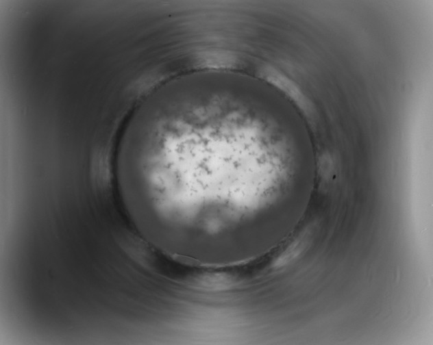 X0000088080203200706081736