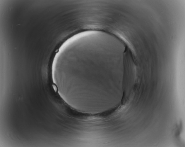 X0000088080204200706081736