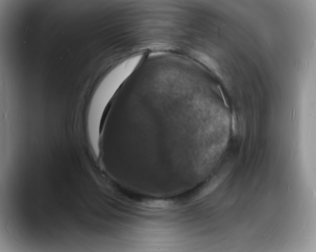 X0000088080205200706081736