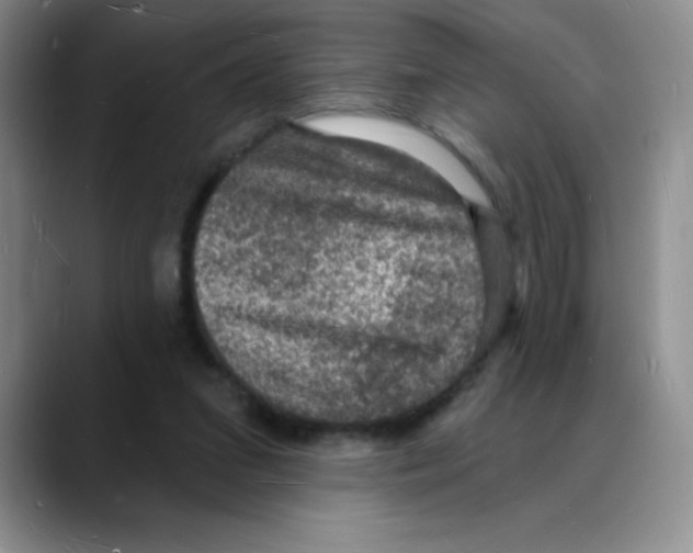 X0000088080207200706081736