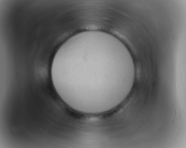 X0000088080208200706081736