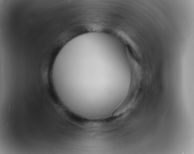 X0000088080209200706081736