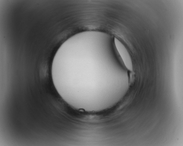 X0000088080212200706081736