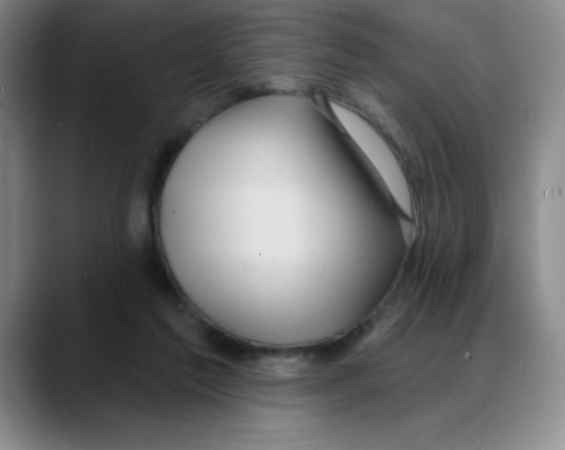 X0000088080213200706081736