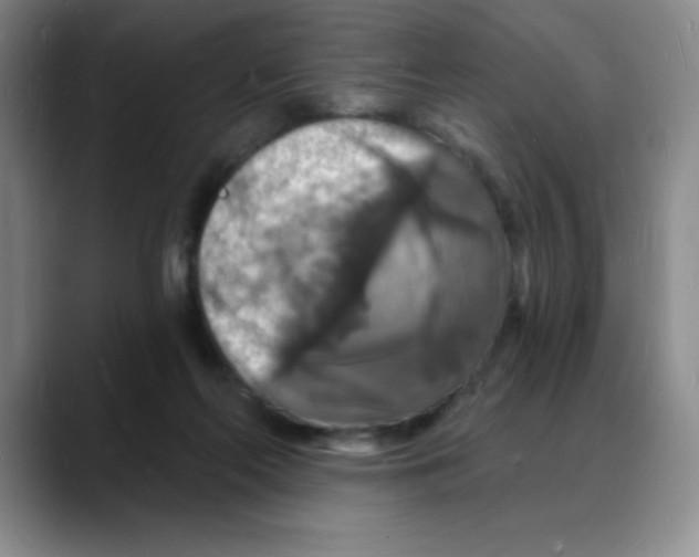 X0000088080214200706081736