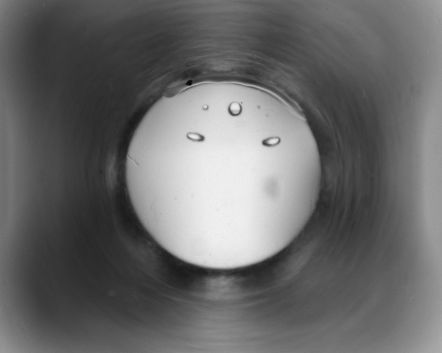 X0000088080216200706081736