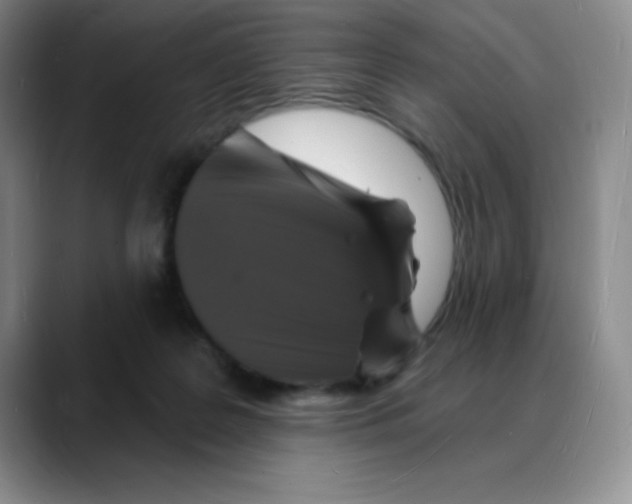 X0000088080219200706081736