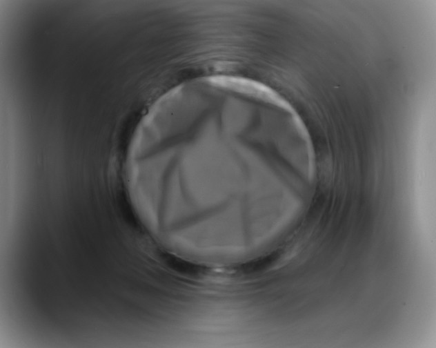 X0000088080222200706081736