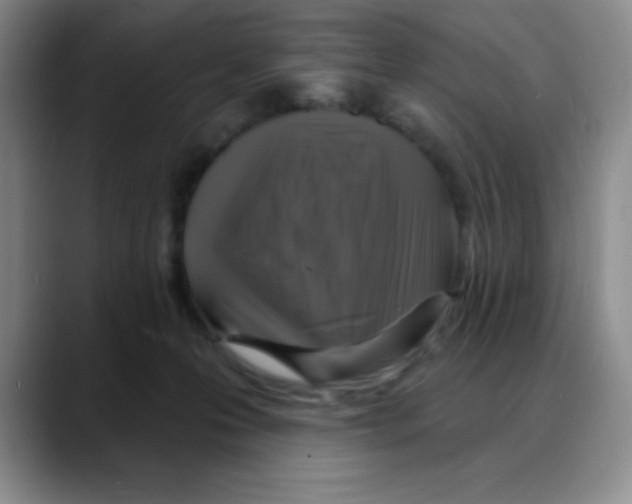 X0000088080223200706081736