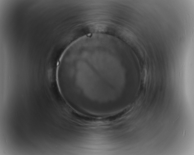 X0000088080224200706081736