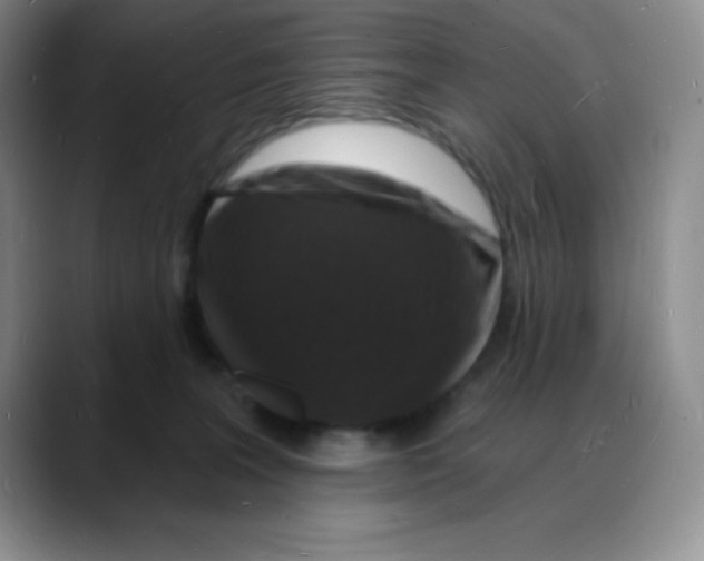 X0000088080227200706081736