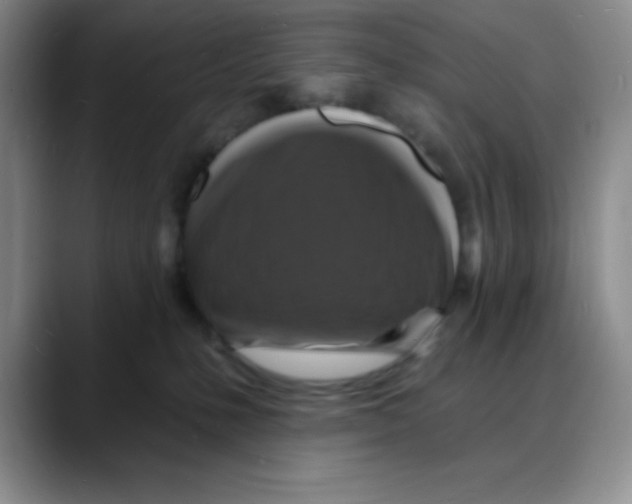 X0000088080231200706081736