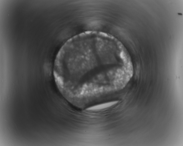 X0000088080232200706081736