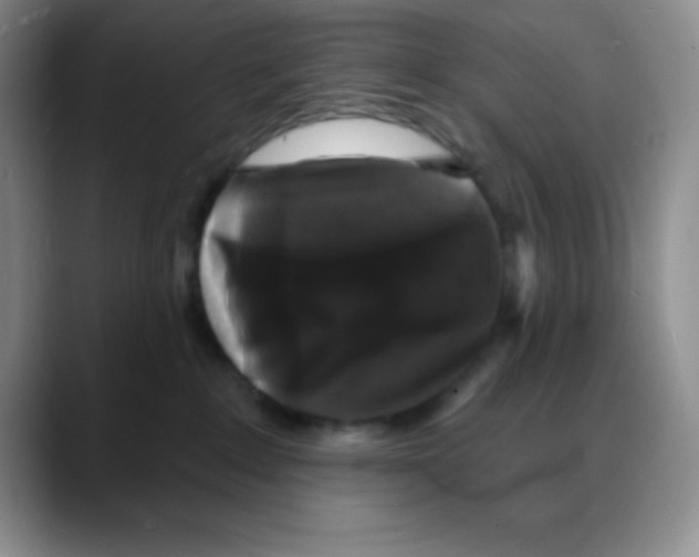 X0000088080235200706081736