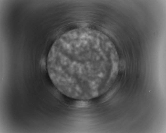 X0000088080238200706081736