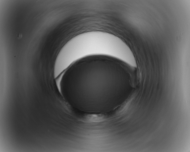 X0000088080239200706081736