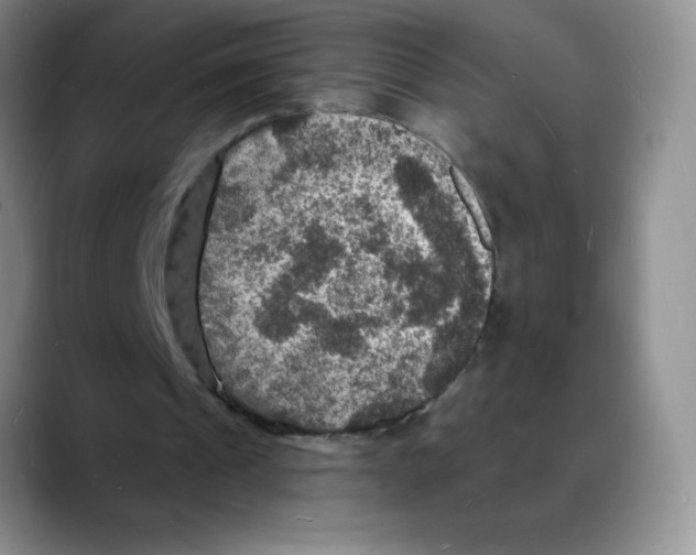 X0000088080241200706081735