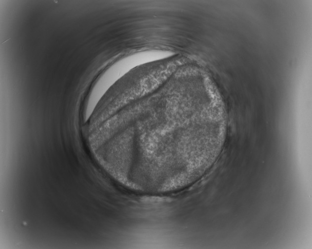 X0000088080242200706081735