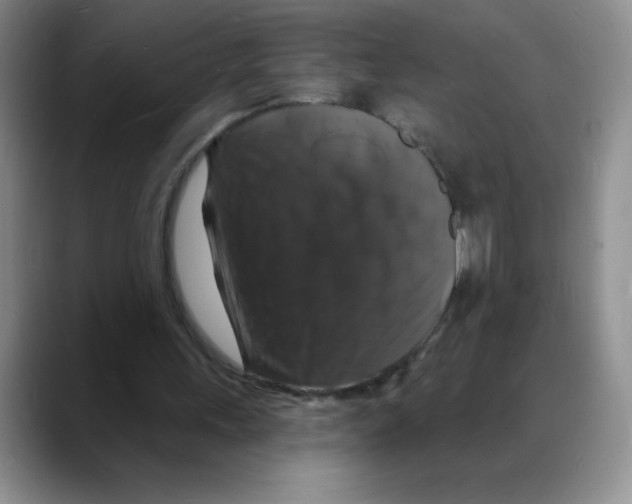 X0000088080243200706081735