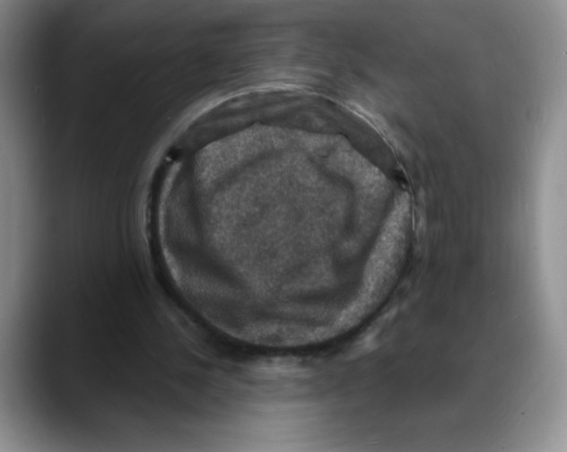 X0000088080244200706081735