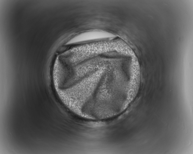 X0000088080245200706081735