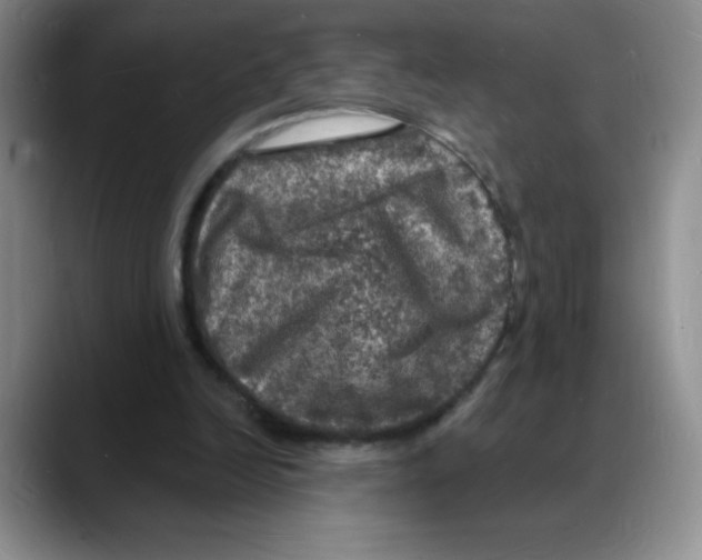 X0000088080246200706081735