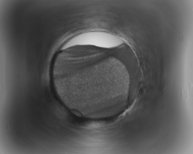 X0000088080248200706081735