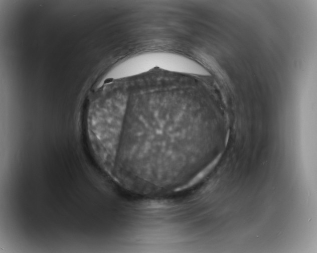 X0000088080250200706081735