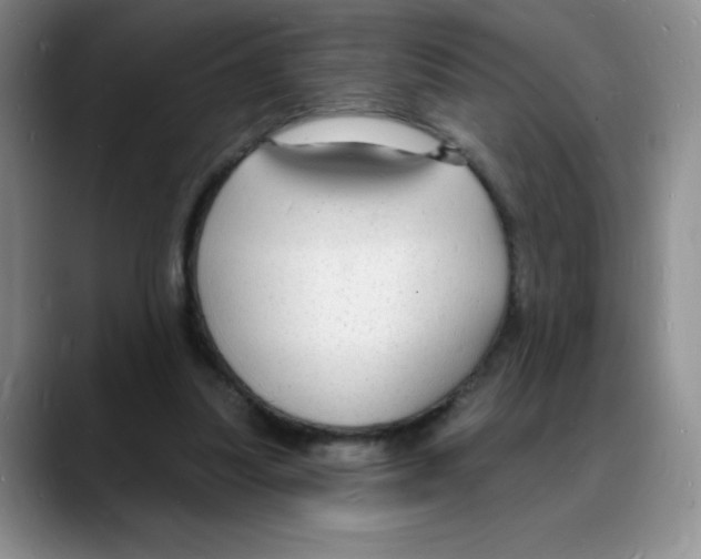 X0000088080251200706081735