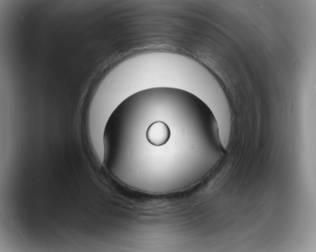 X0000088080252200706081735