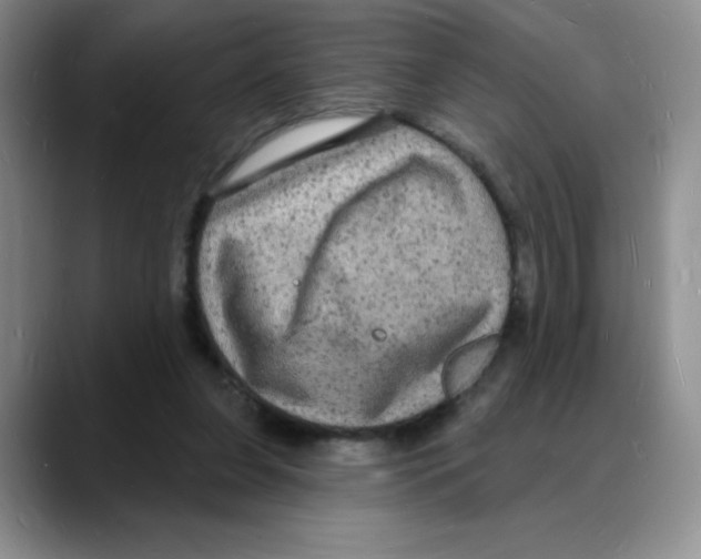 X0000088080255200706081735