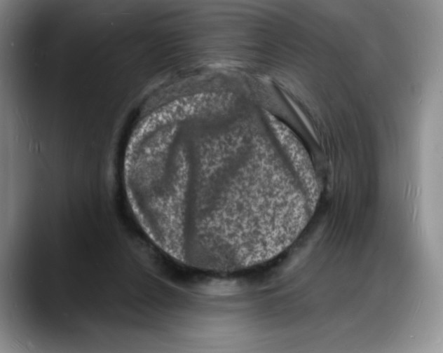 X0000088080256200706081735