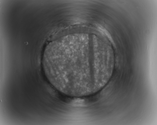 X0000088080257200706081735