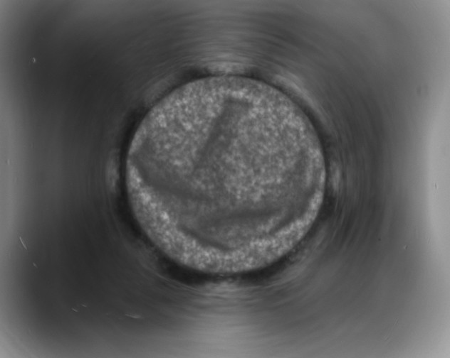 X0000088080259200706081735