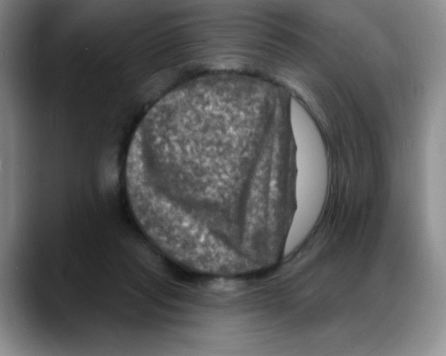 X0000088080261200706081735