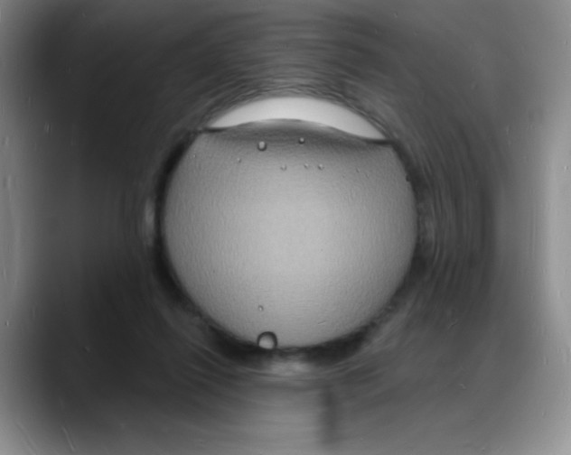 X0000088080262200706081735