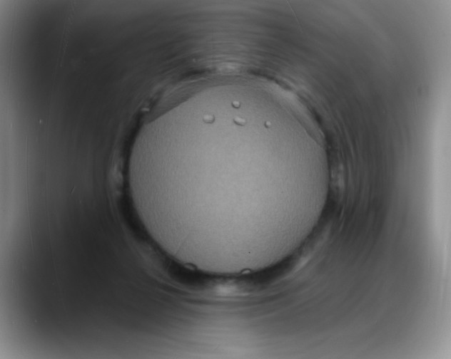 X0000088080264200706081735