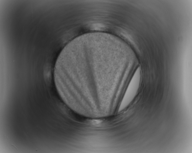 X0000088080265200706081735