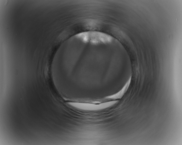 X0000088080266200706081735