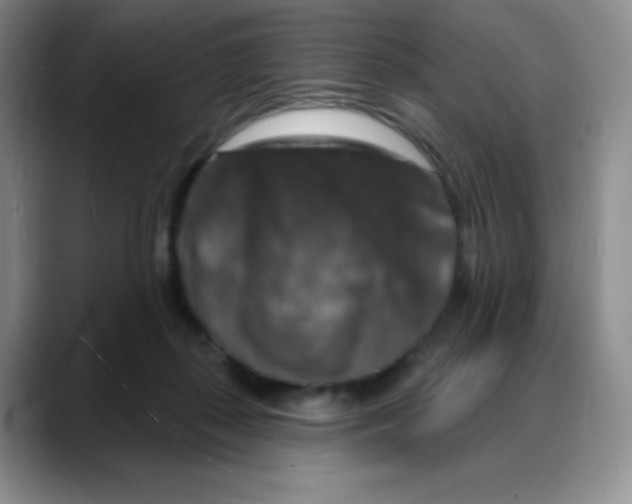 X0000088080267200706081735