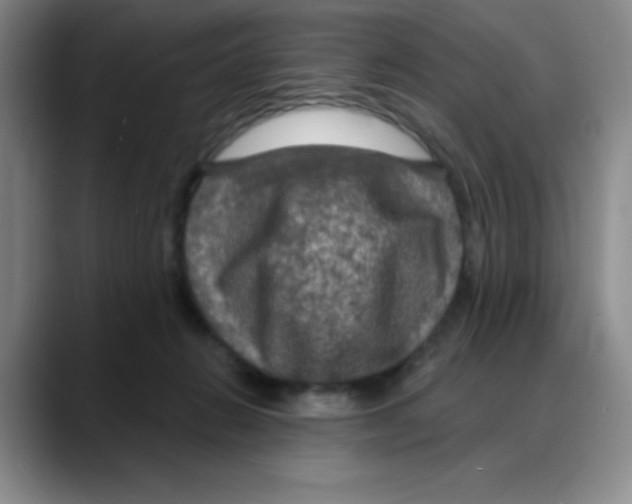 X0000088080270200706081735