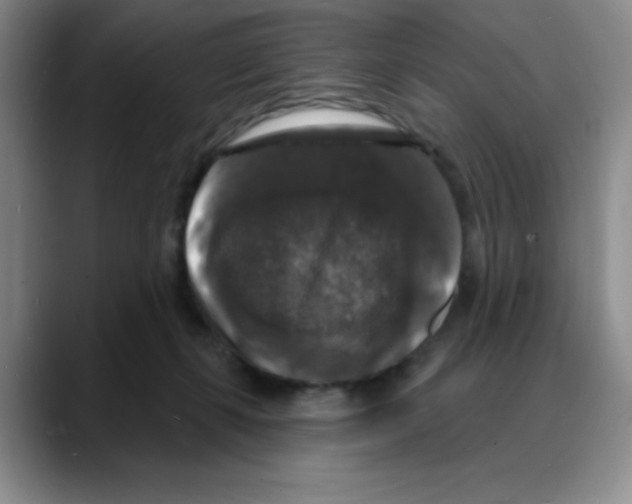 X0000088080271200706081735