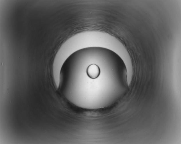 X0000088080272200706081735