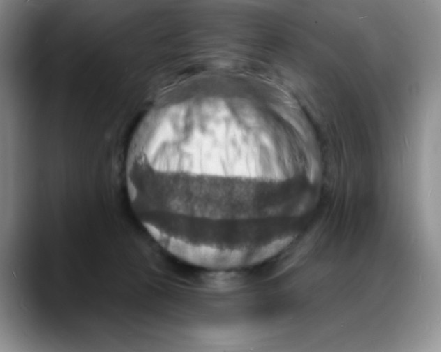 X0000088080273200706081735