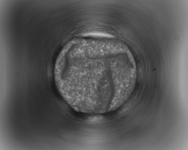X0000088080274200706081735